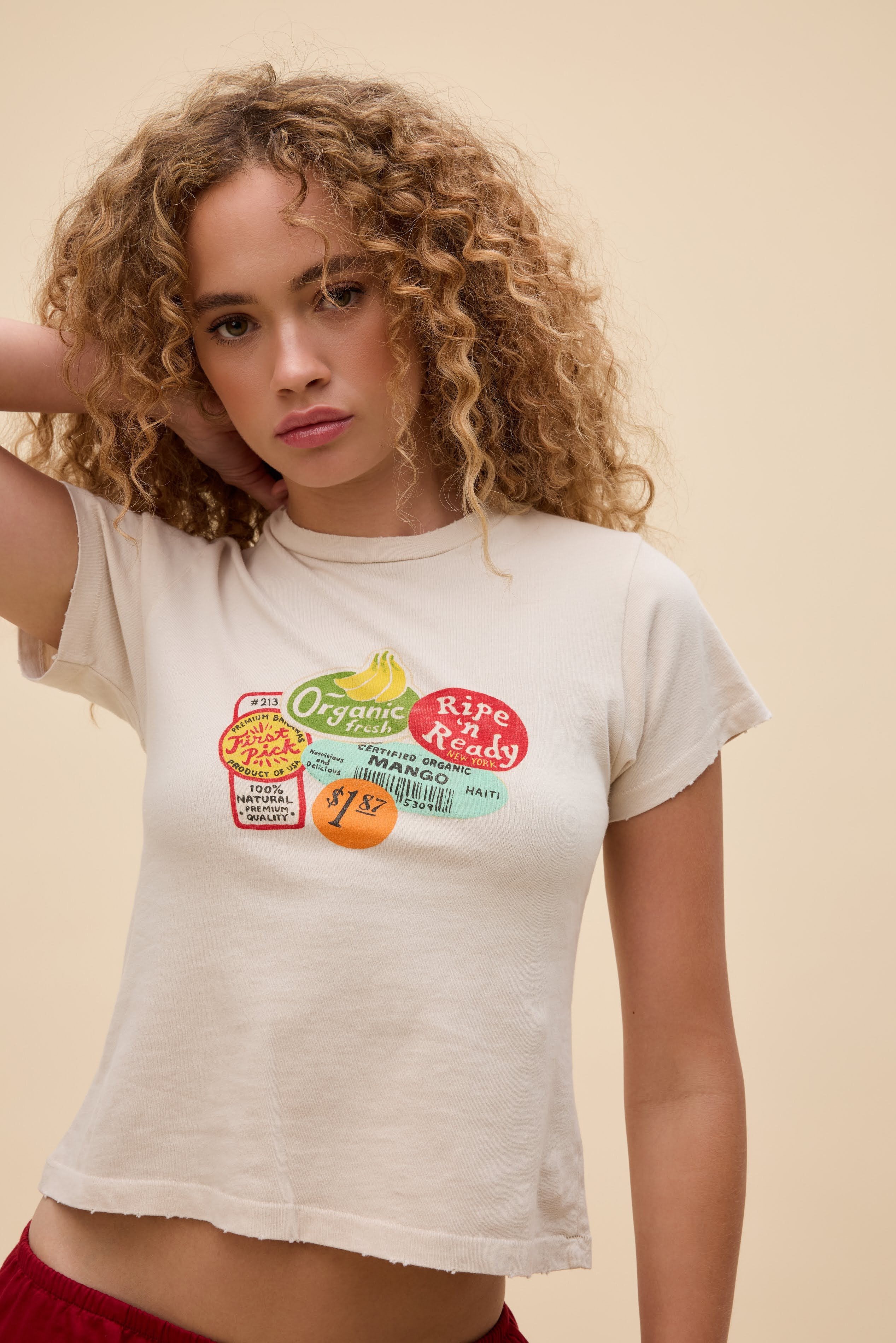 Fruit Stickers Vintage Tee | Daydreamer