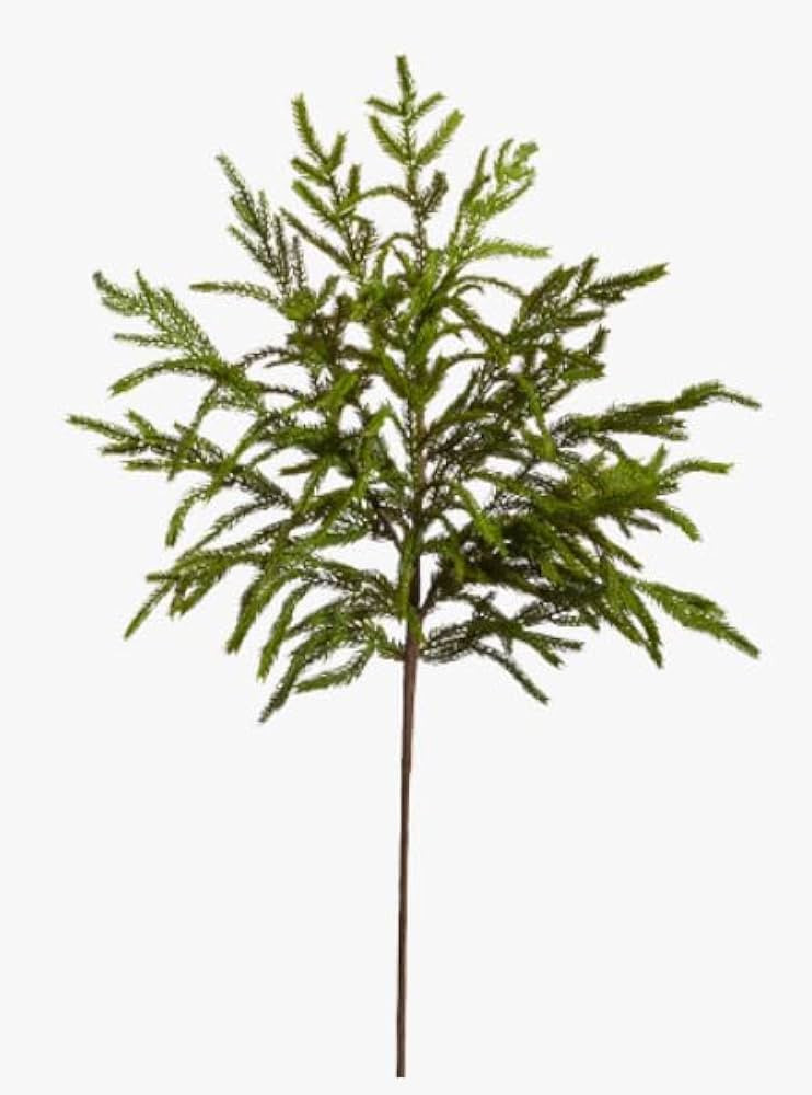 33" Norfolk Pine Spray | Amazon (US)