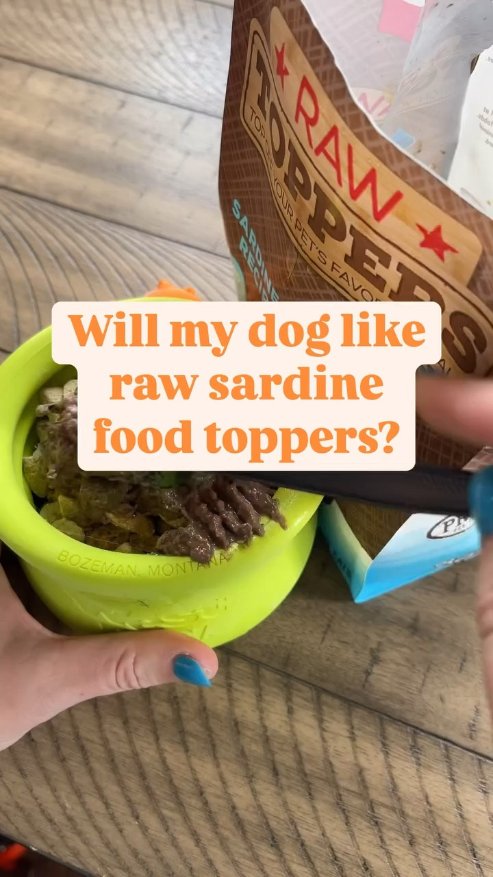 ✨ what do you feed your pets?

@primalpetfoods sent us these Toppers to try. We have tried other toppers from Primal Pets but we haven’t tried the frozen ones yet. Safe to say they are Fallon approved ✅ 

If you’ve been here a while, you know I am always looking for new ways to incorporate fresh/raw food into their diets to *spice things up* a bit. (It’s important to feed the pet in front of you however that looks)!

#primalreview #thejourneysofjade #DogFood #enrichmentmeals #TopplTuesday #gifted 

It’s me, hi. I’m Jade! If you love your pets, plants, pottery, and thrifting, you’re in the right place. Follow for more!