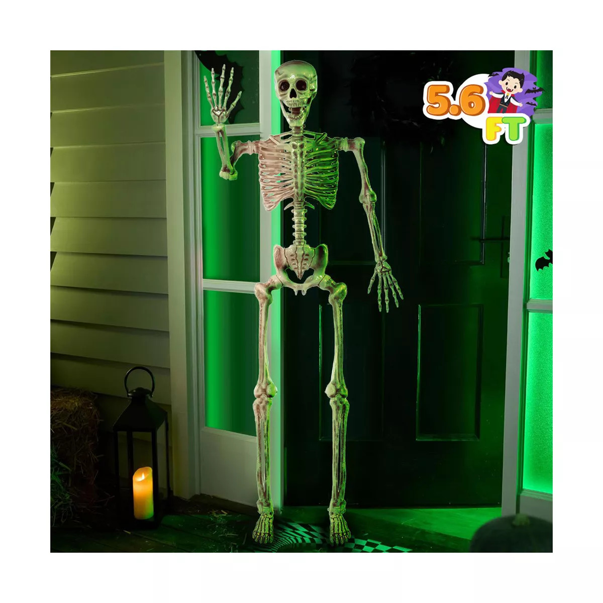 Joyfy Halloween Decor 5.6 FT Life Size Halloween Skeleton Full Body Posable Realistic Bones for H... | Target