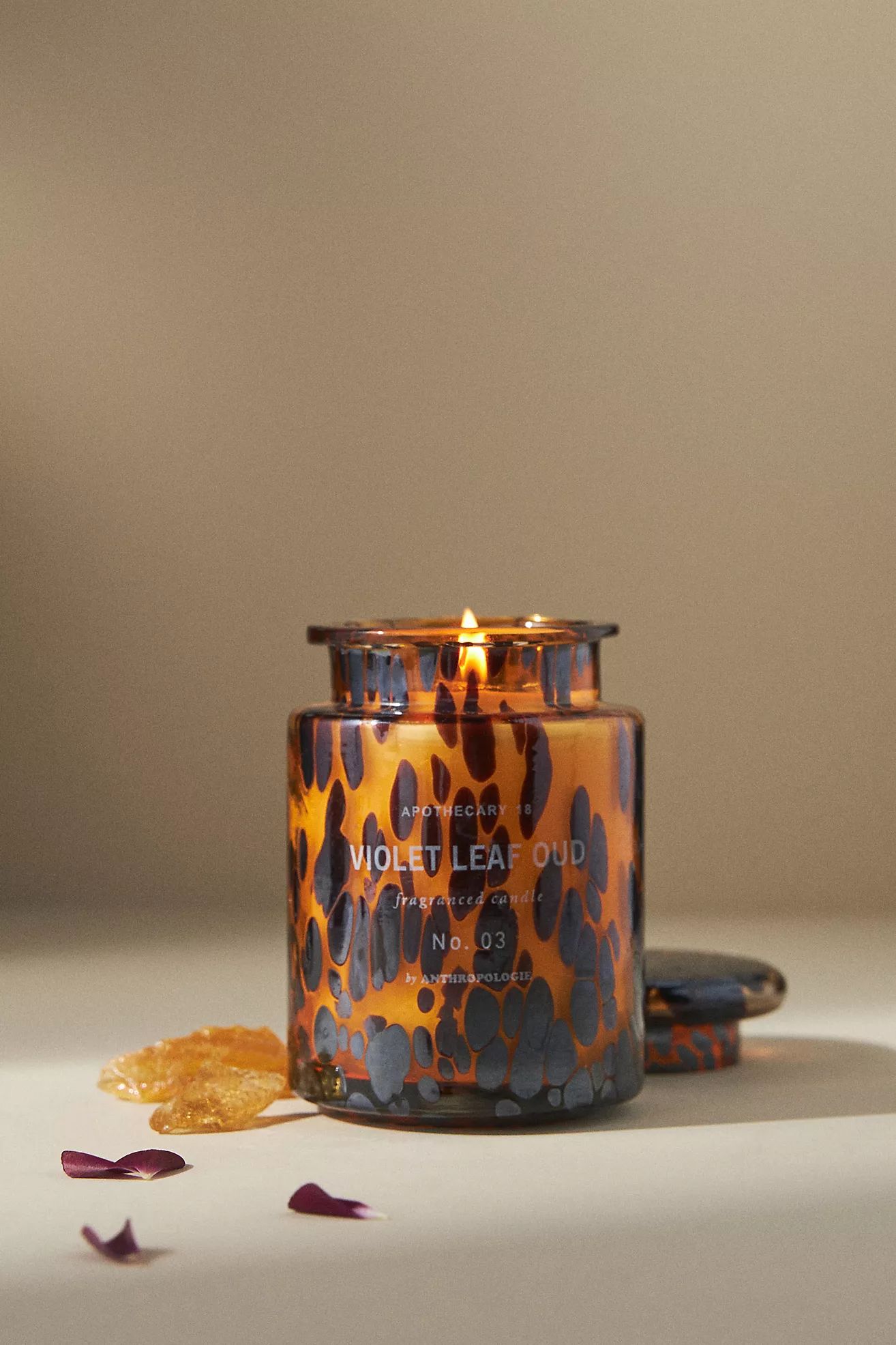 Apothecary 18 Woody Violet & Amber Jar Candle | Anthropologie (US)