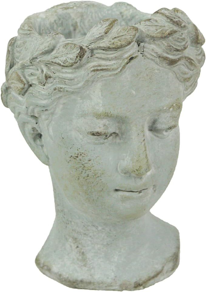 Wall-Mounted Planter Pot Greco-Roman Style Female Statue Head, Concrete, 6.5-inches | Amazon (US)