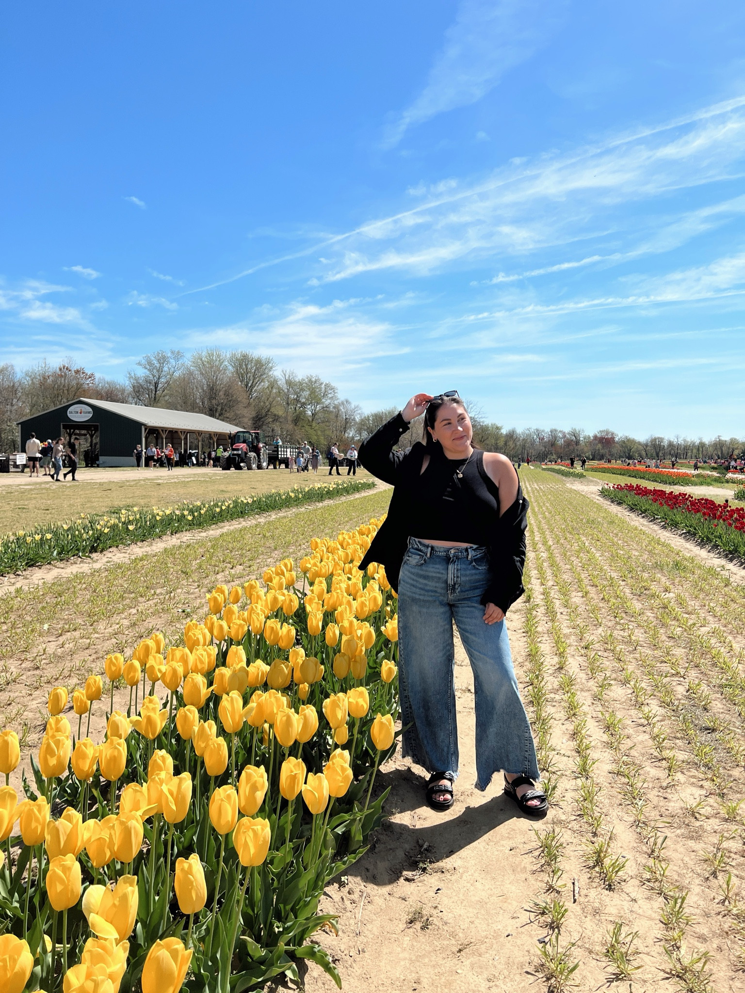 #LTKfindsunder50 #LTKSeasonal #LTKmidsize