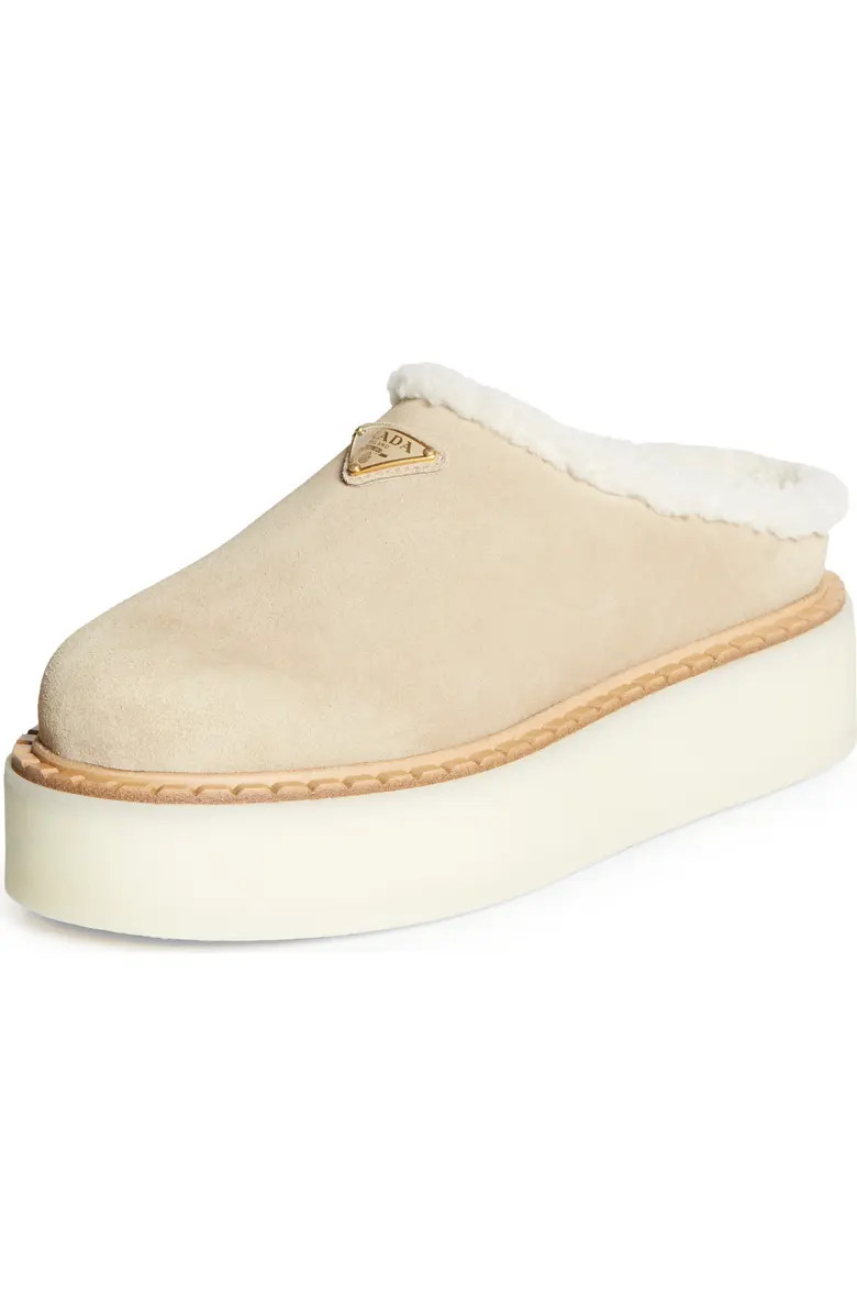 Evolve Genuine Shearling Clog (Women) | Nordstrom