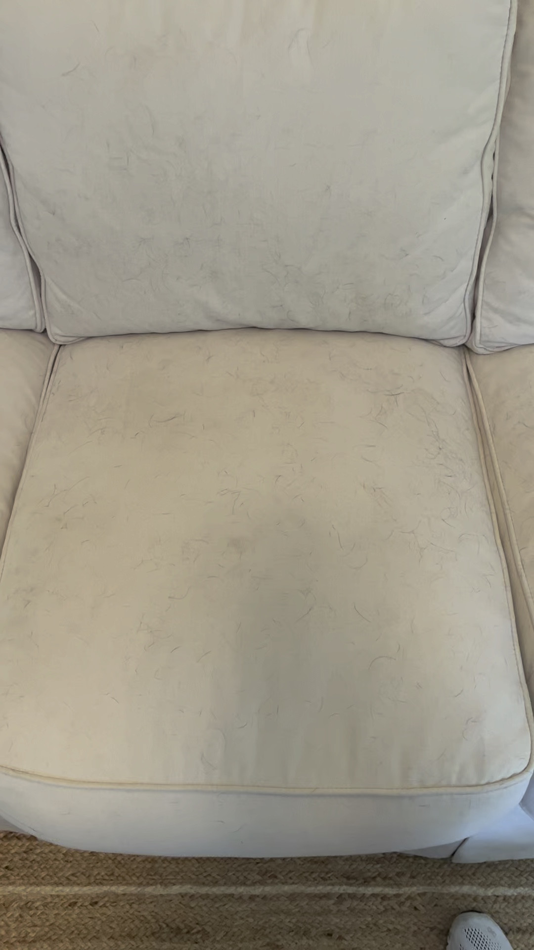 Cayman is not supposed to be on my formal living room sofa! Thank god for this gadget that helped me clean up the mess he just made! 
#LTKpets

#LTKhome