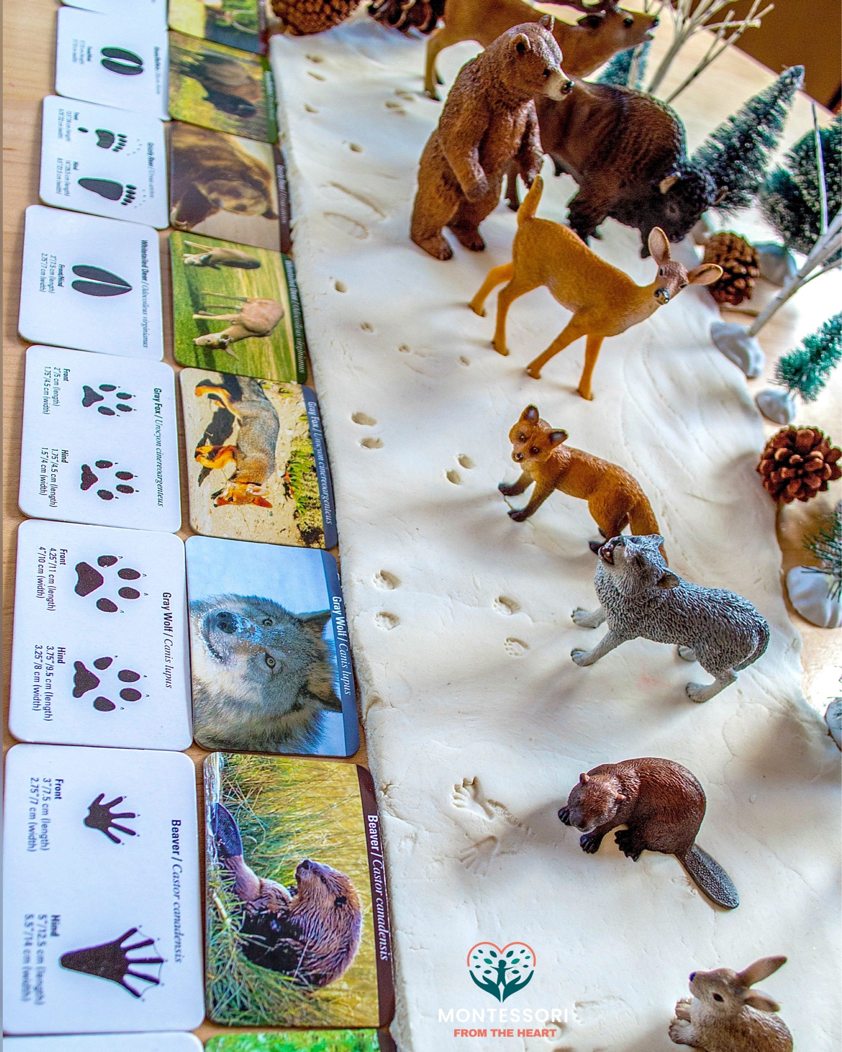 When 🦌🐇Sensory Play 🐾 meets Animal  Footprints Tracks! (Well, since snow is not in the forecast, we are using White Play Dough 😉 to bring Winter ❄️Wonderland indoors!) 

#LTKFamily #LTKBaby #LTKKids