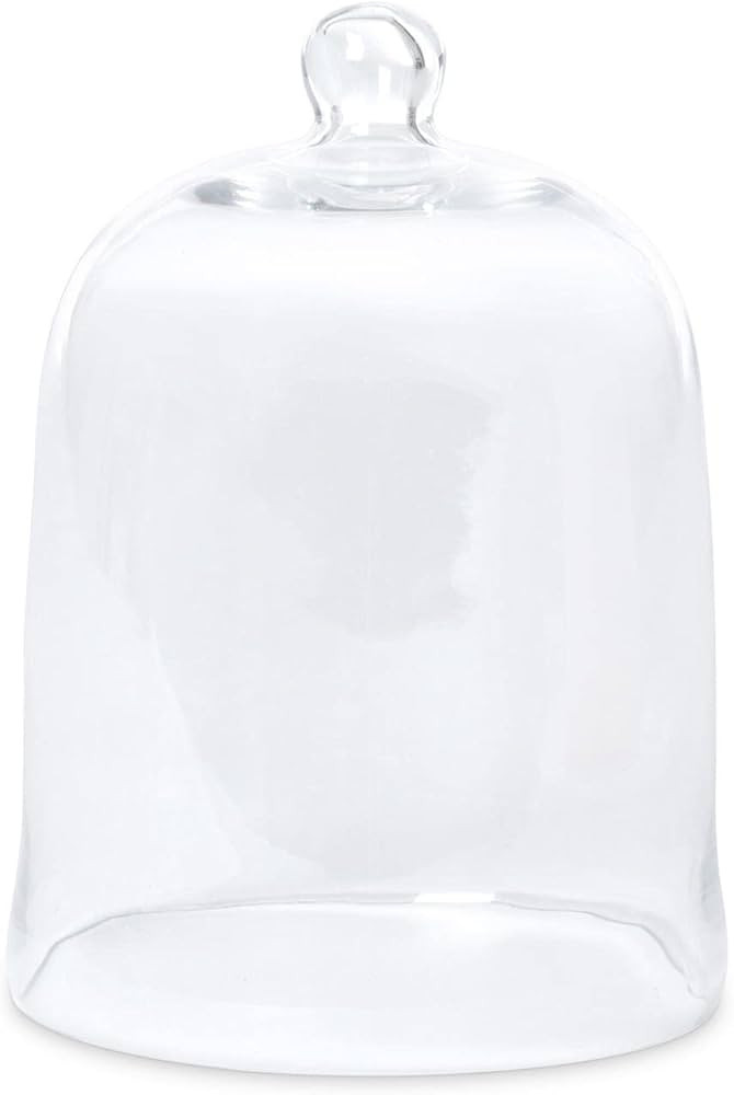 Park Hill Collection ECL82075 Bell Jar, Extra-Large, Glass, Clear | Amazon (US)
