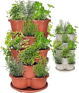 Amazing Creation Stackable Planter, Terracotta 5-Tier Vertical Garden Planter, Grow Your Own Vert... | Amazon (US)