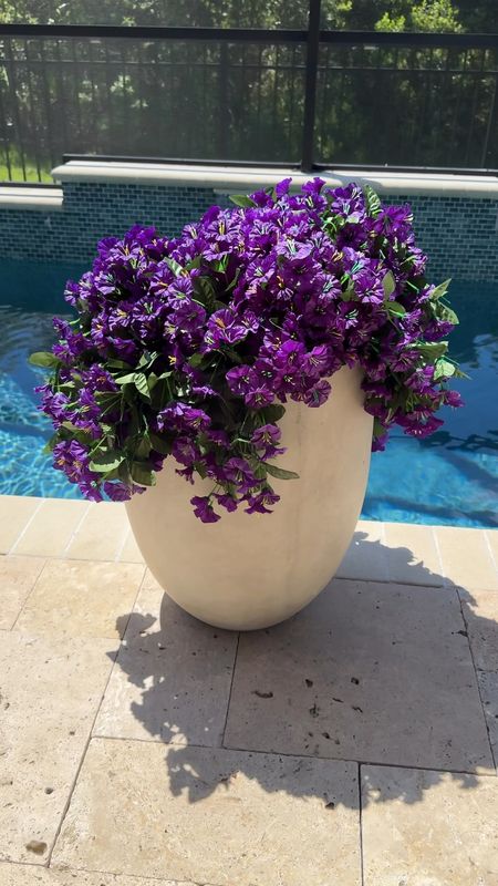 These are my favorite planters! I have them in several colors and sizes. These UV safe purple flowers are stunning! They are so drapey and realistic.


UV safe florals, purple, outdoor flowers, faux florals, faux concrete planter, Amazon home 

#LTKFindsUnder50 #LTKHome #LTKFindsUnder100
