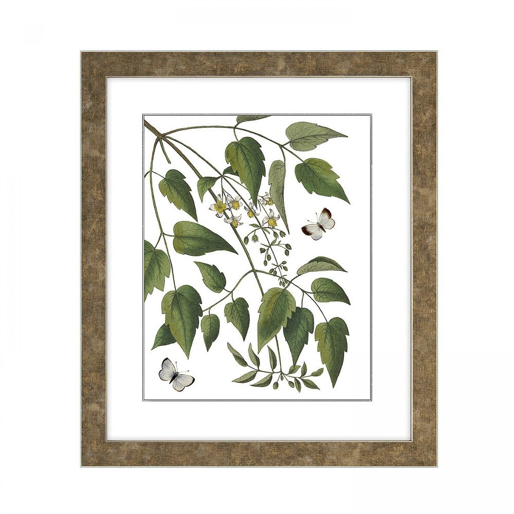 31x36cm Natural Luminosity Framed Print | La Redoute (UK)