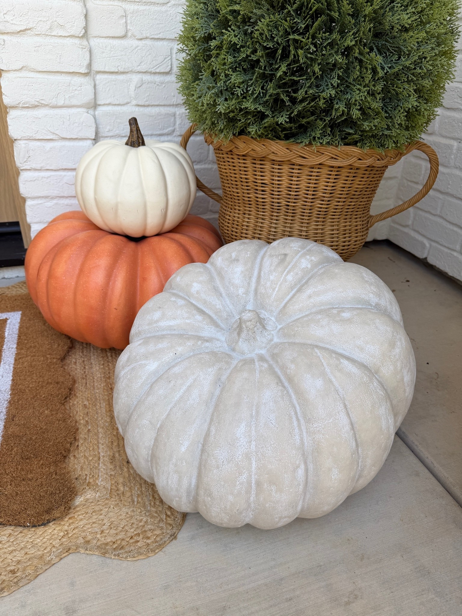 The most gorgeous concrete pumpkins 🎃🤌🏼

#LTKSeasonal #LTKHome