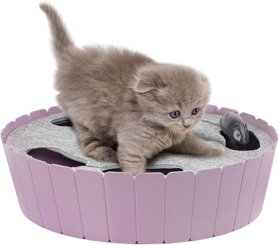 Pawaboo Interactive Cat Toy with Running Mouse, Electronic Motion Cat Toy Automatic Teaser for In... | Amazon (US)