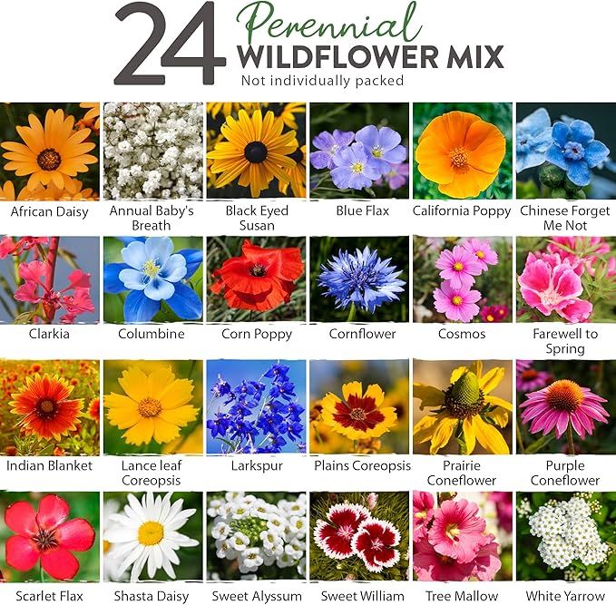 HOME GROWN 90,000+ Wildflower Seeds - Bulk Perennial Wild Flower Seeds Mix - 3oz Flower Garden Se... | Amazon (US)