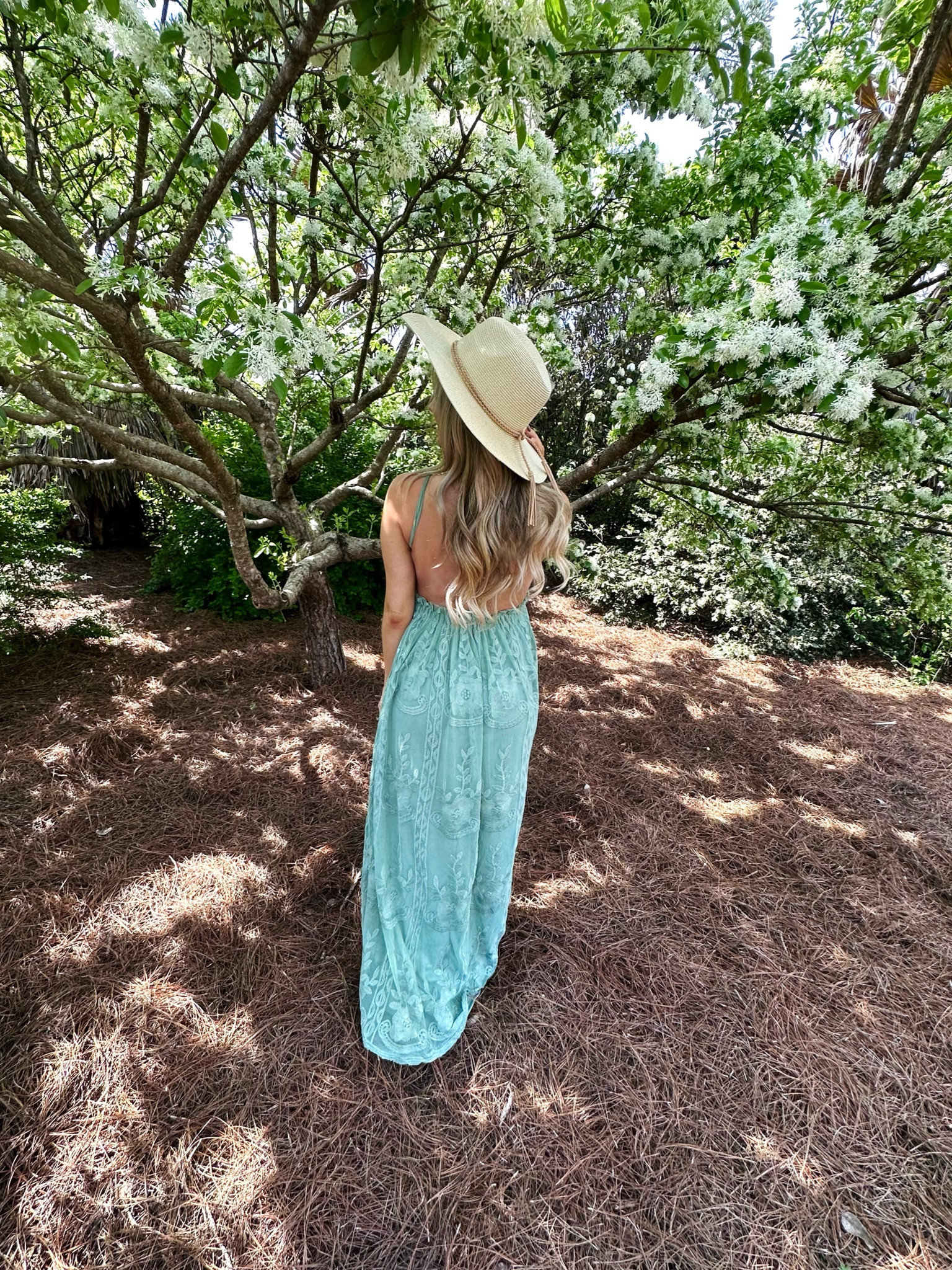 Pink Blush 🤍 Mint Green Crochet Lace Open Back Maternity Maxi Dress

Summer 2023 dresses 
Open back dresses 
Dresses under $100
Bump friendly dresses 

#LTKtravel #LTKFind #LTKbump