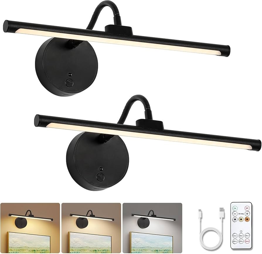 Picture Lights for Wall – Wireless Rechargeable LED Light with Remote, Adjustable Arm, Gold Bat... | Amazon (US)