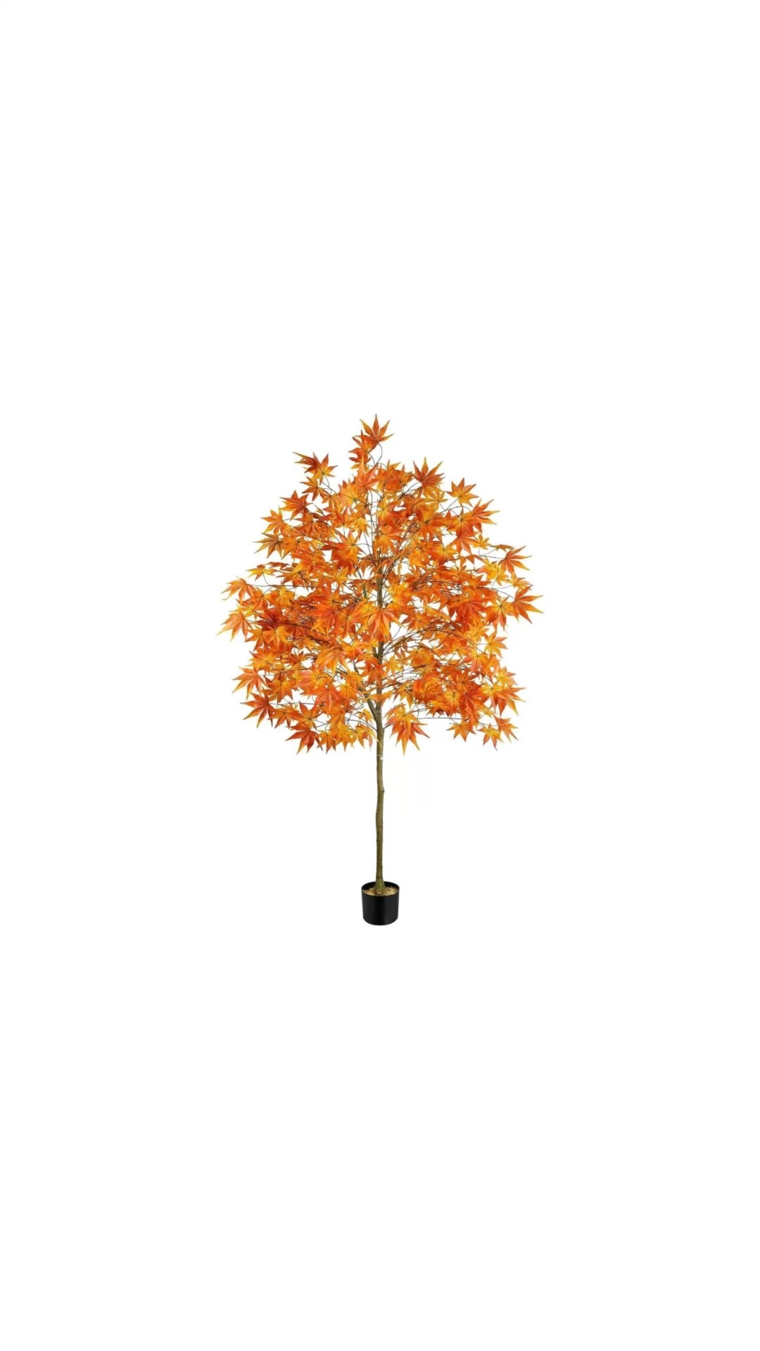 Fall Tree Home Decor,
Fall Decor
Fall trends


#LTKFallSale #LTKHome #LTKSeasonal