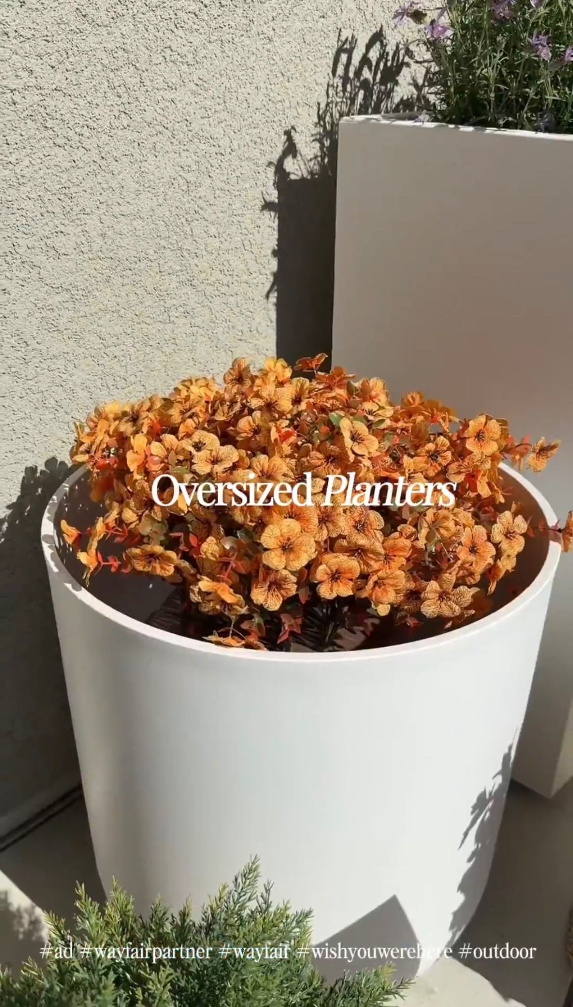 The easiest update to make a small space feel styled all year round 🌿

#ad #wayfair #wayfairpartner #outdoor #wishyouwerehere @Wayfair 

#LTKSeasonal #LTKHome