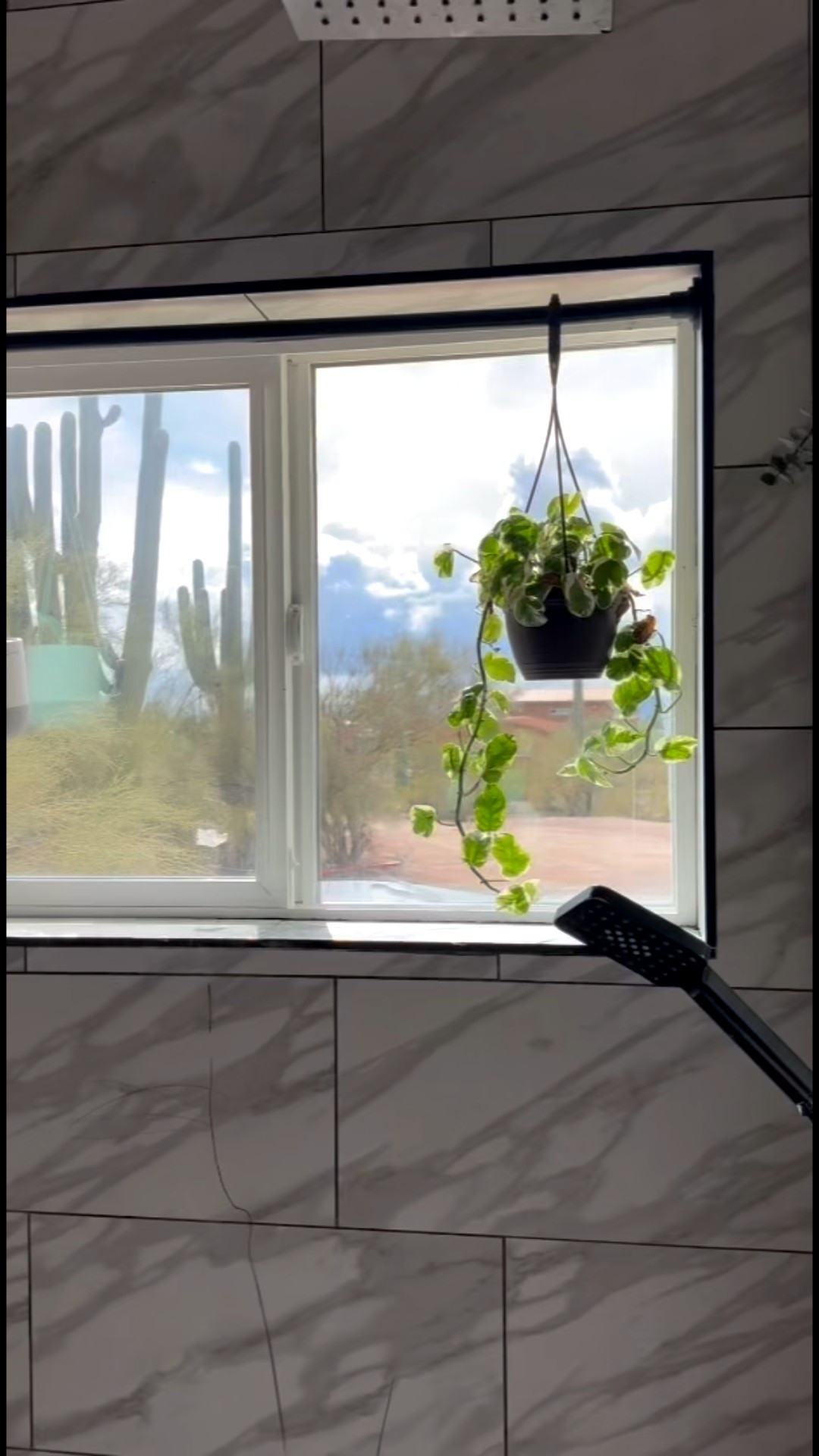 Covered the window but made it pretty too thanks to art scape 

#LTKHoliday #LTKGiftGuide #LTKdayinmylife