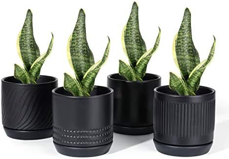 POTEY 053502 Plant Pots with Drainage Holes & Saucer - 4.2 Inch Glazed Ceramic Modern Planters In... | Amazon (US)