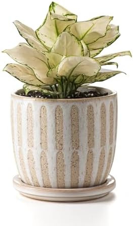 Ceramic Flower Pots Indoor-Outdoor: 5.75 Inch Planters with Drainage Holes & Saucer - Modern Deco... | Amazon (US)