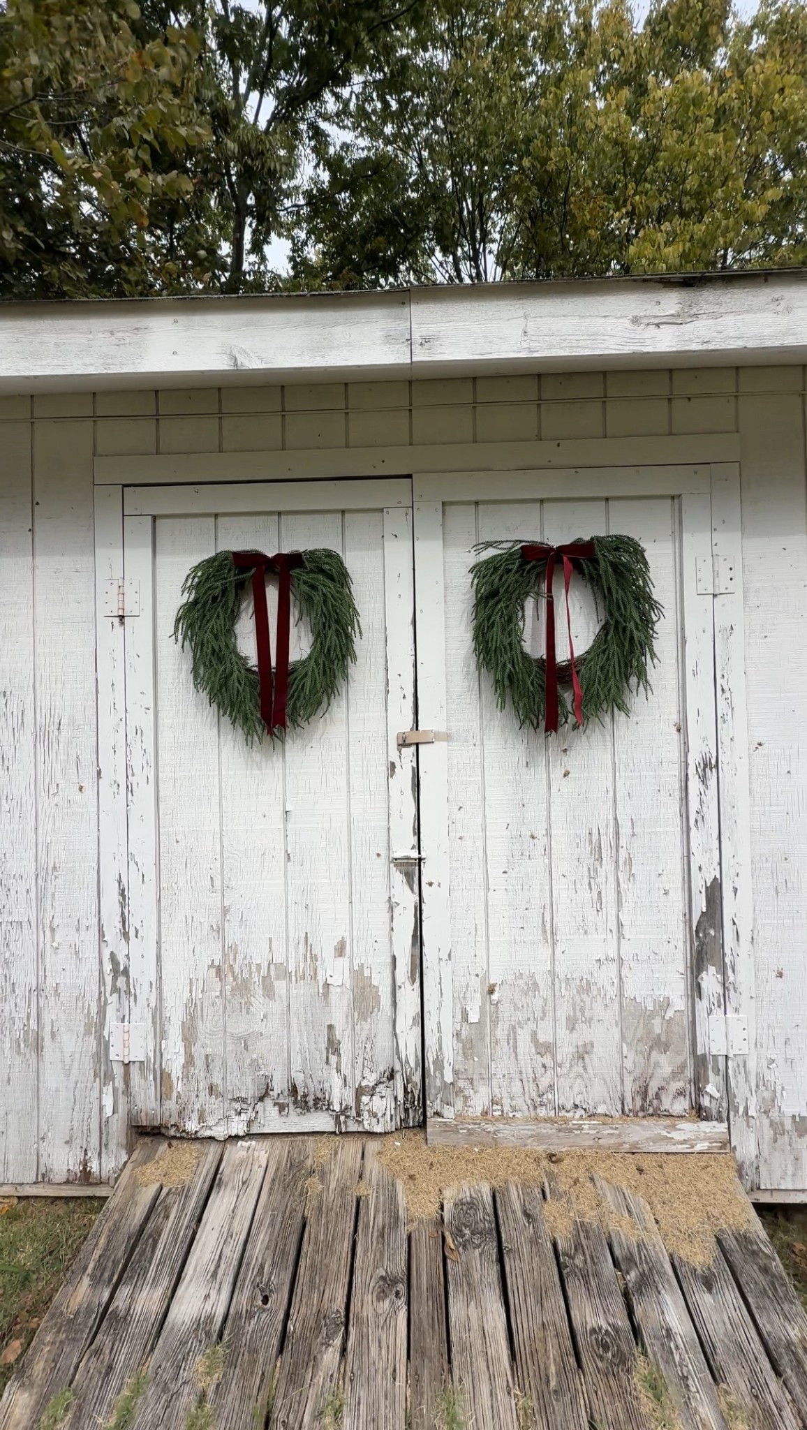 Gorgeous wreaths! 

#LTKSeasonal #LTKHome #LTKHoliday