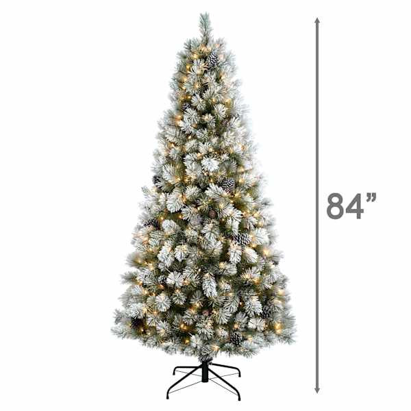(B12) Pre-Lit LED Frosted Percy Spruce Christmas Tree, 7' | At Home