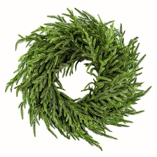 ENVEN 24" Norfolk Pine Wreath for Front Door, Real Touch Norfolk Pine Wreath Artificial Green Wreath Greenery Realistic Wreath Holiday Decoration for Home Decor | Amazon (US)