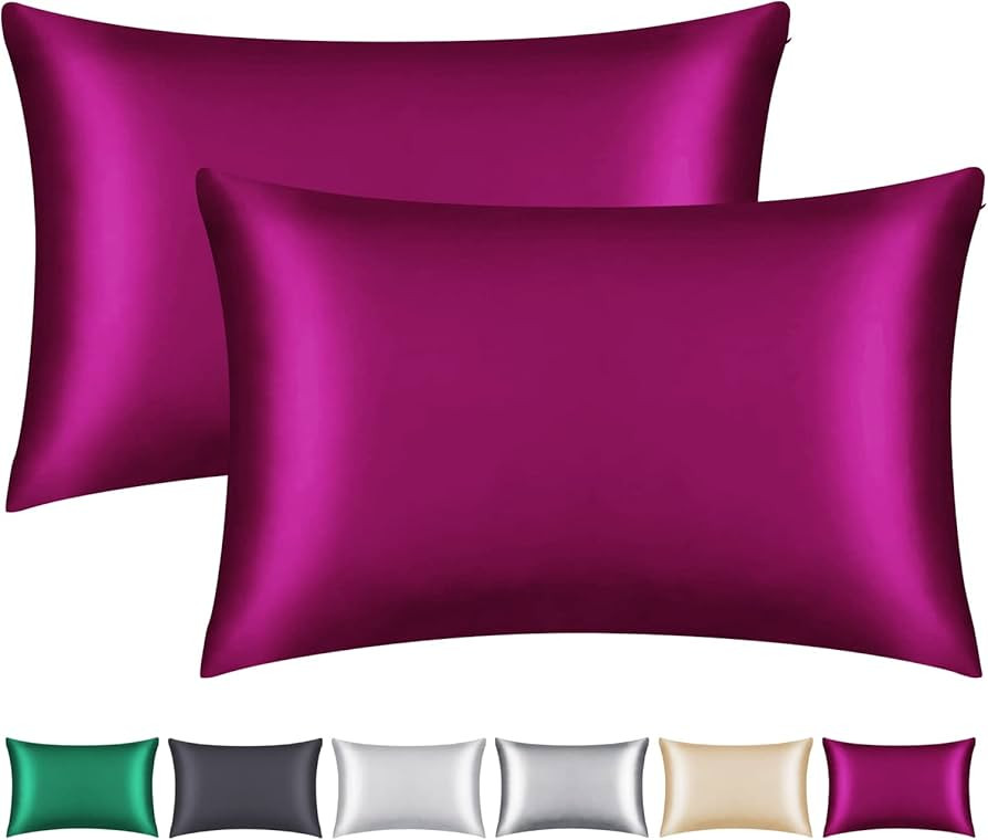 100% Mulberry Silk Pillowcase 2 Pack for Hair and Skin,with Hidden Zipper,Both Sides 22 Momme Nat... | Amazon (US)