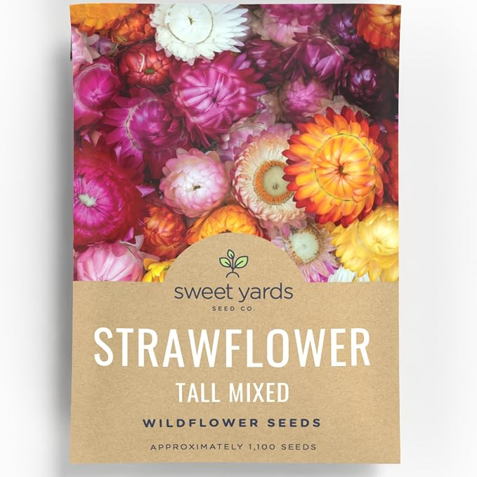 Strawflower Tall Mixed - Large 750mg Envelope - 1,100 Flower Seeds for Planting - Xerochrysum bra... | Amazon (US)