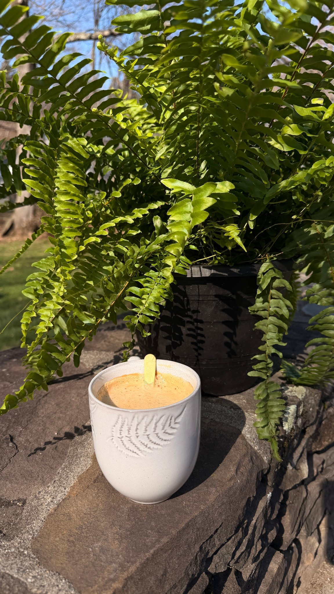 Friday vibes- cappuccino (still have to work on our technique to give them a pretty European flair)  & giving my husband a hair cut on the patio.  Been cutting his hair since the pandemic- think of the money we have saved! More for decor!  Use the @younghouselove technique (look it up) and have never looked back! 

#LTKMens #LTKHome #LTKdayinmylife