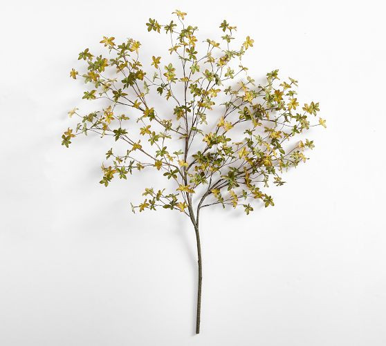 Faux Oversized Gypsophila Branch | Pottery Barn (US)