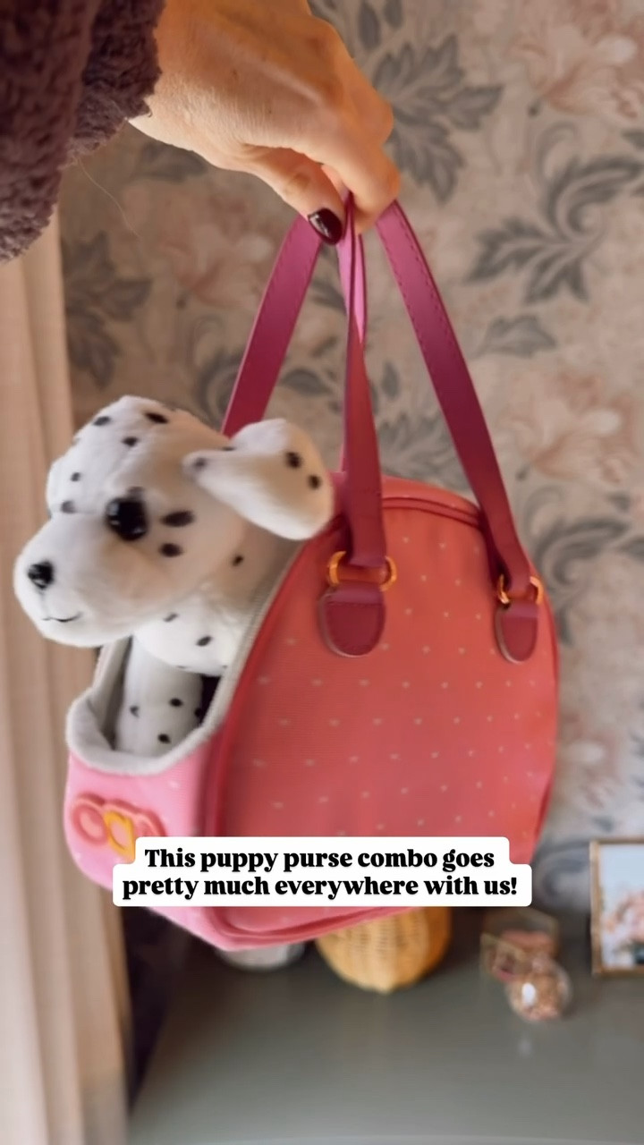 This is a fun toy they can even carry with them to be entertained while you’re out! 

Loverly Grey, little girl gift ideas, kids gifts, stuffed animal, Christmas gift ideas 

#LTKKids #LTKHoliday #LTKGiftGuide