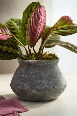 Buckled Jar Stoneware Planter | Terrain