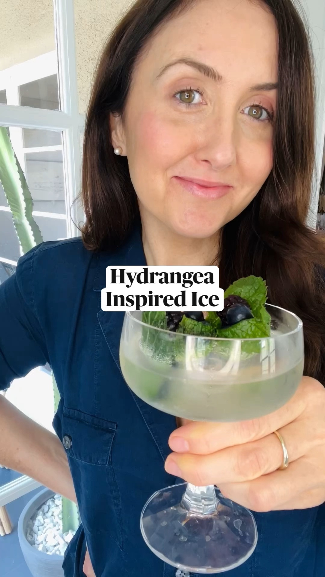 INGREDIENTS:
- blackberries
- Blueberries
- Mint
- Lemonade
- Champagne

DIRECTIONS:
- place mint and berries in the ice tray then pour in lemonade and freeze
- Add ice cubes to a coupe glass and serve.
- Per my note above, the mint leaves don’t last long once out of the freezer so the cuteness can wear off quickly, so feel free to omit.

#LTKHome #LTKParties #LTKSeasonal