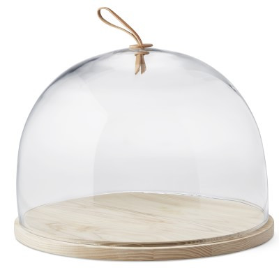 LSA Cake Dome with Ash Base | Williams-Sonoma