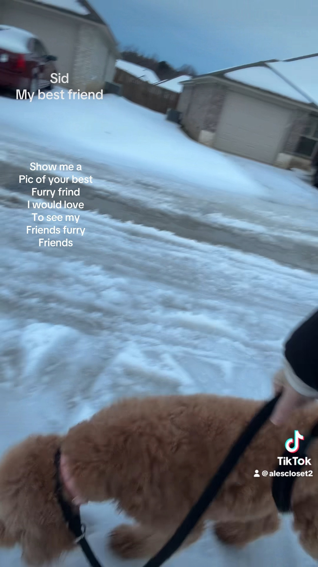 A little day in my life ❄️🤍
Working from home the last couple of days so I didn’t have to take any risks on the icy roads. Sid has been loving having me home, and during my lunch break we took a much-deserved snow walk.
She’s so sweet, so well behaved, and such a calming presence in this quieter season of life. Feeling truly blessed 🤍🐾

#DayInMyLife #WorkFromHomeLife #SnowDayMoments #DogMomLife #QuietSeason #GratefulHeart #LifeLately #SimpleJoy

#LTKstorytime #LTKSeasonal #LTKOver40