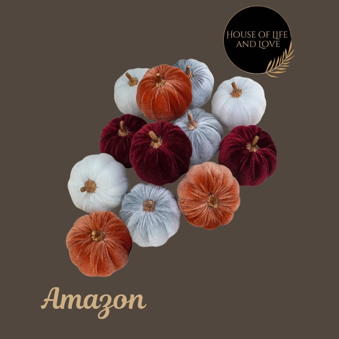 Velvet pumpkins

#LTKParties #LTKSeasonal #LTKHome