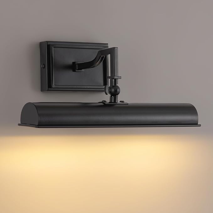 BELS Picture Light for Wall, 12 Inch Black Wall Light Hardwired, 270° Rotatable, E12 Base, 2-Lig... | Amazon (US)