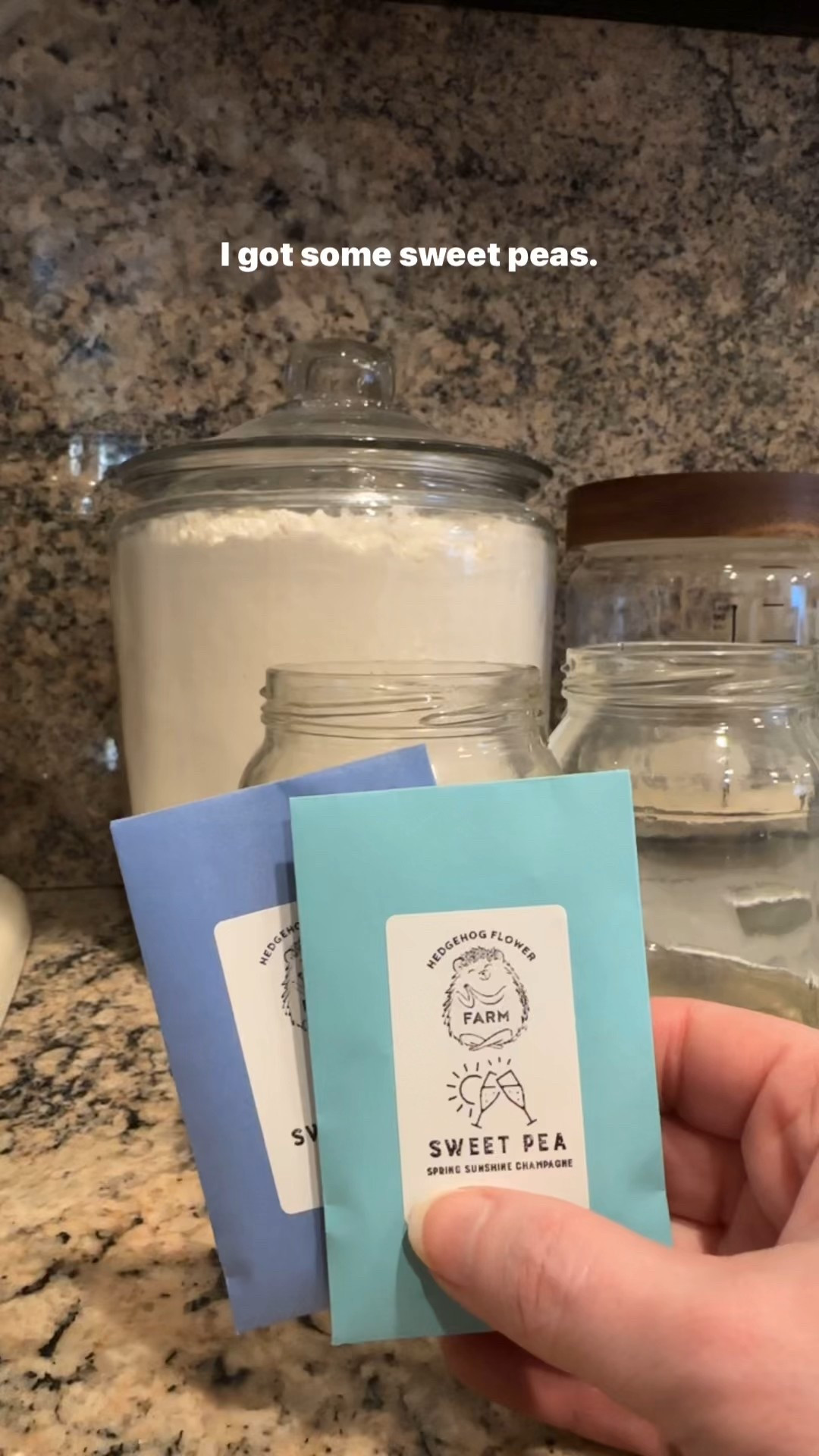 Is it freezing outside? Yes. But I’m still dreaming about my spring garden and warmer temperatures 🌷

These sweet peas are going to be for a fun little project for my kids (mostly 😅) and I’m really excited about it !

#LTKdayinmylife #LTKSeasonal #LTKHome