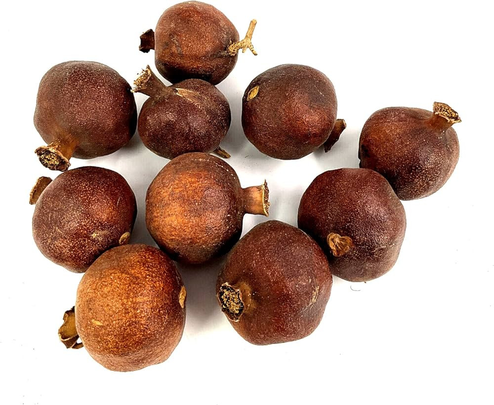 Dried Pomegranate Vase Filler Decoration Table Decor Crafting Fruit Potpourri | Amazon (US)