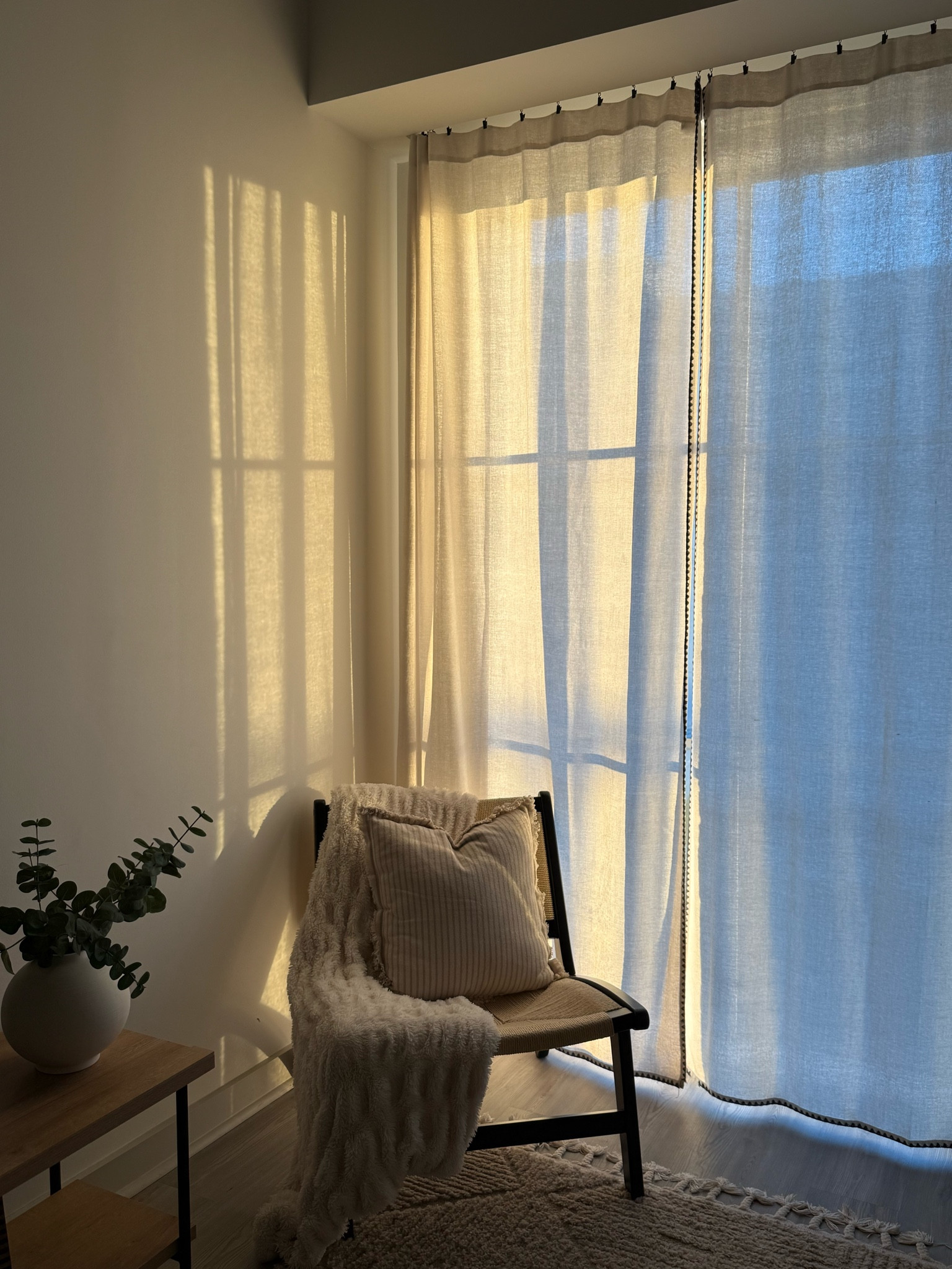 morning sunlight ✨