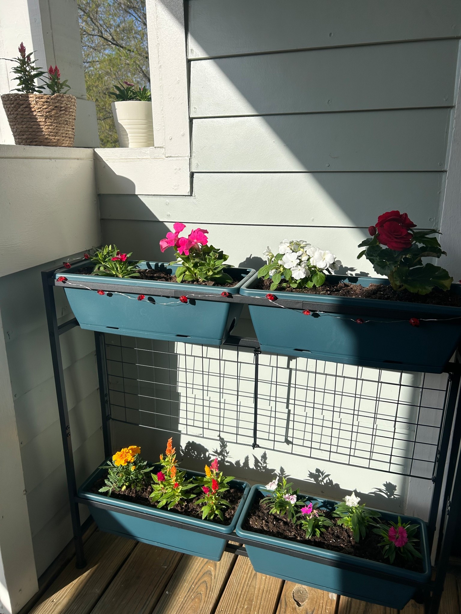 spring florals 🌸


#flowers #plants #garden #pot #basket #spring #outdoor #plantstand #flowergarden 

#LTKselfcare #LTKdayinmylife #LTKmorningroutine