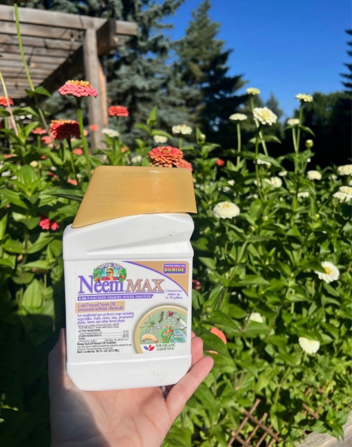 Neem oil is something I always keep around for the garden! I like using it when plants need a little extra help staying healthy and keeping pests away. It’s simple, natural, and has worked really well for me over the years 🌿


#LTKSpringSale #LTKSeasonal #LTKHome