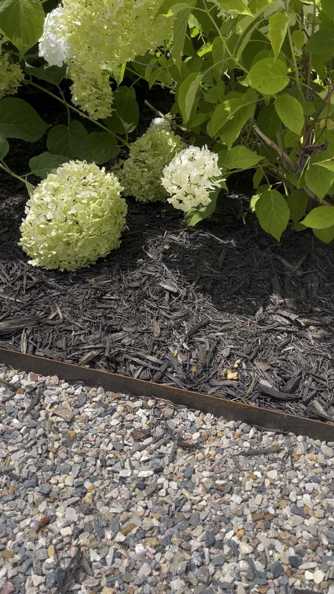 Outdoor planters and edging linked! 

#LTKunder50 #LTKhome #LTKunder100