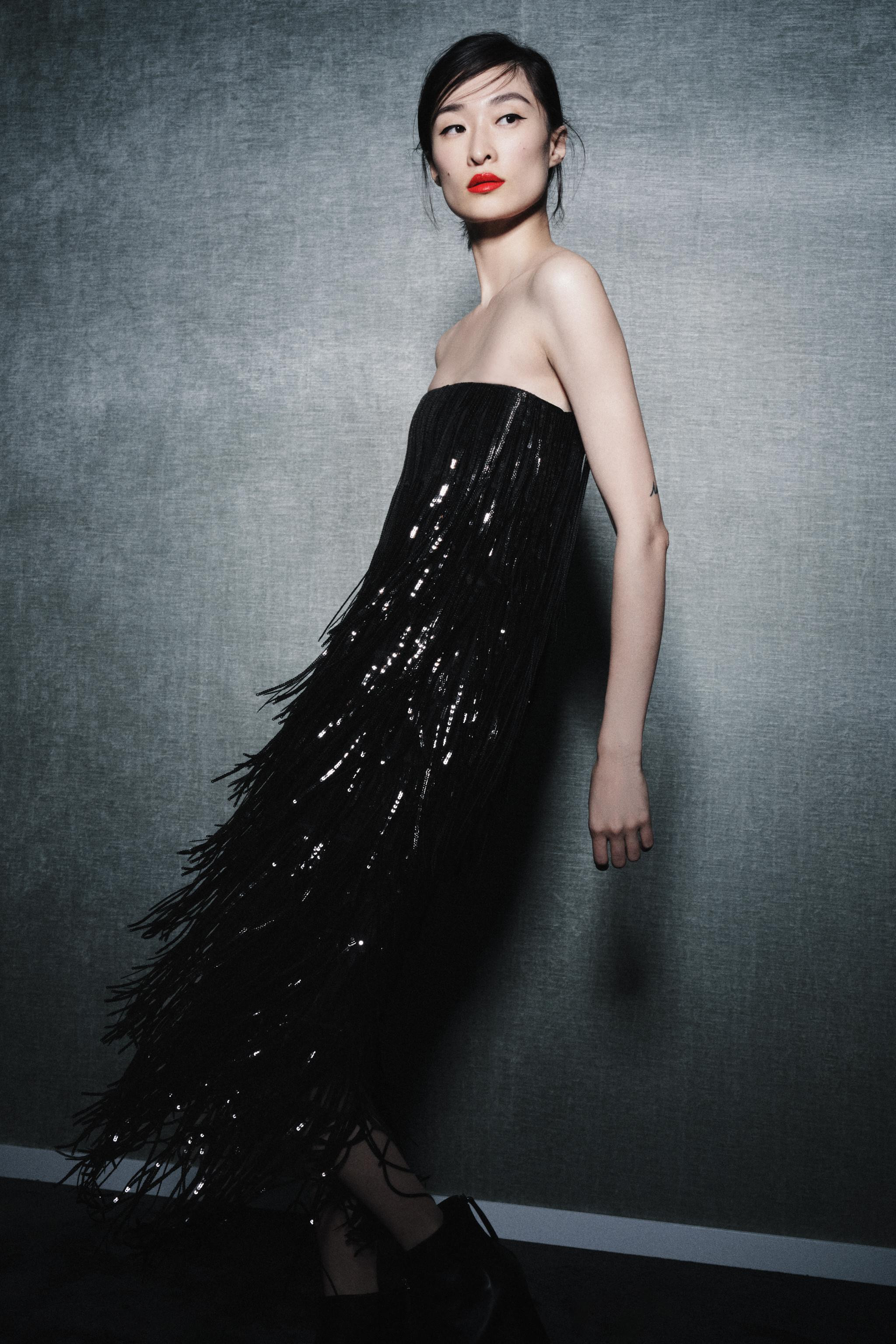 SEQUIN FRINGE DRESS ZW COLLECTION LIMITED EDITION | Zara US