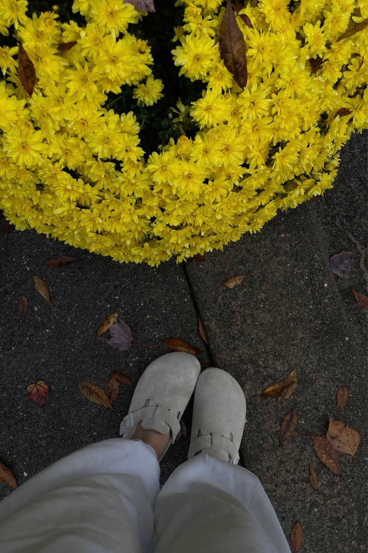 Rainy fall day🌧️🌧️

#LTKHalloween #LTKShoeCrush #LTKSeasonal