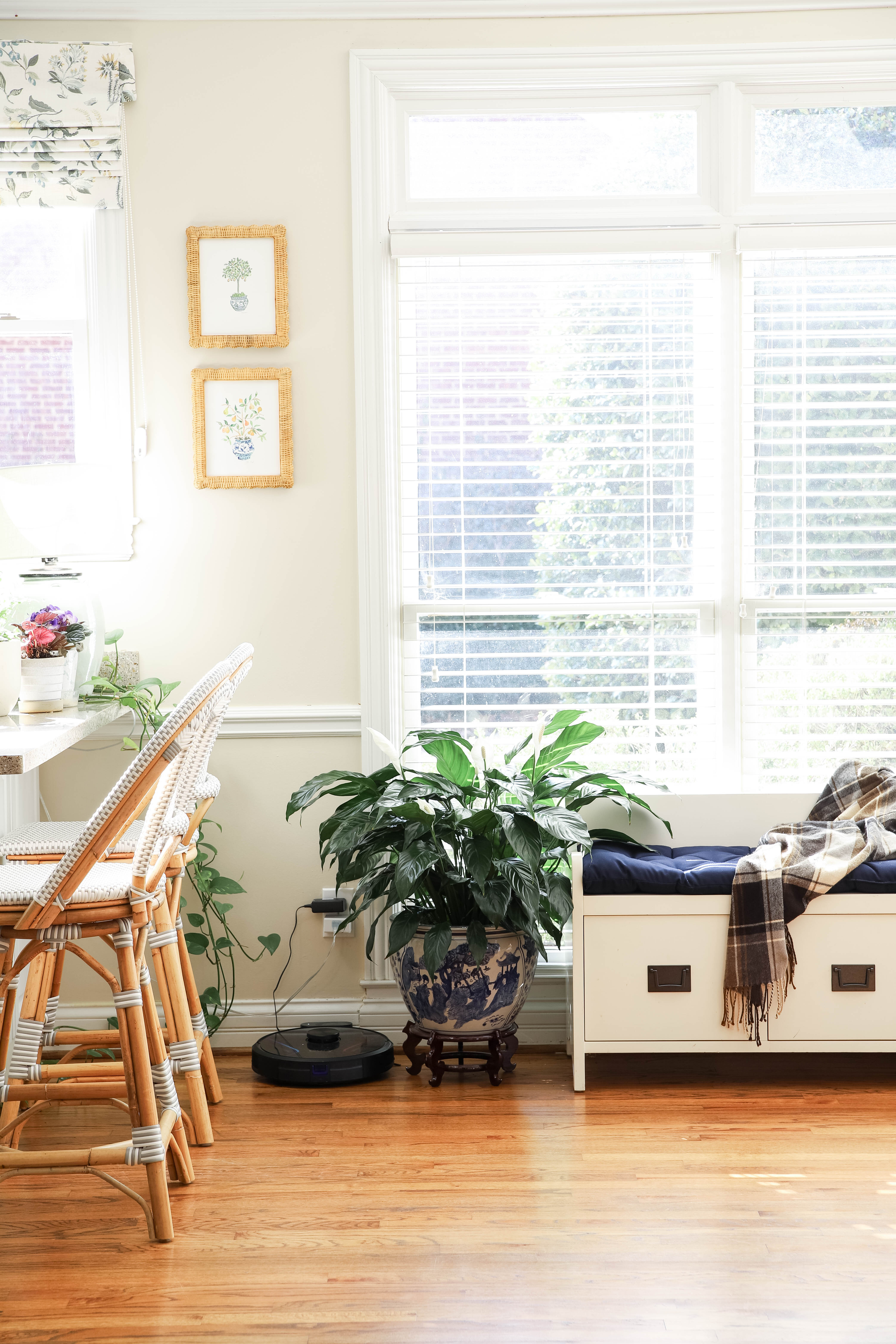 I'd had this large chinoiserie pot from a year ago, and when I got to bring home a peace lily from my grandmother's funeral back in December, it was the perfect place! 

 #LTKHome