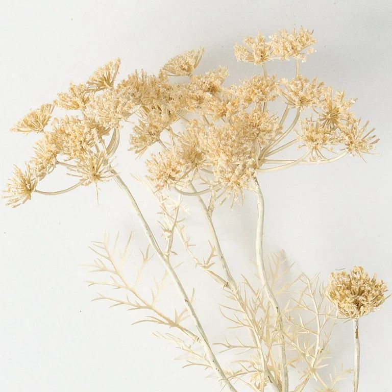 Sullivans Artificial Queen Anne'S Lace Stem 29"H Off-White | Walmart (US)