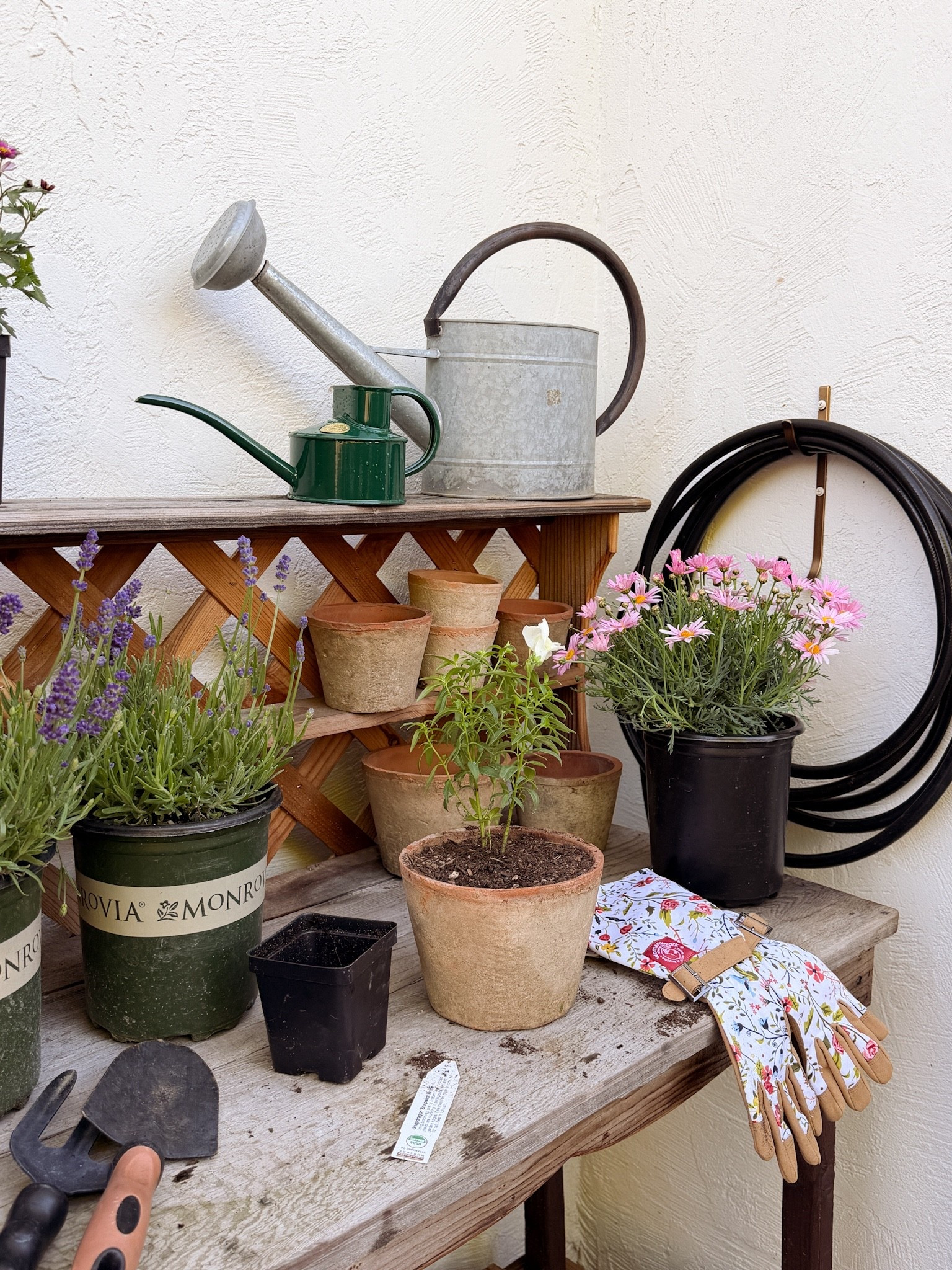 Potting station 🪴

#LTKSeasonal #LTKHome