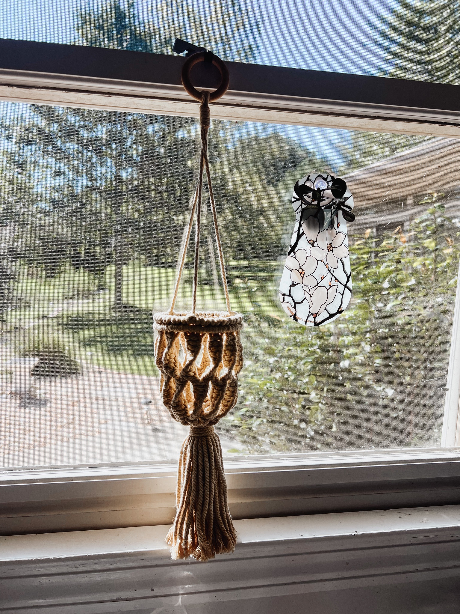 Suction cup reusable vases for propagation by Modgy. #LTKhome #plants #vases #homedecor #giftideas #LTKunder20

#LTKFind #LTKhome #LTKunder50